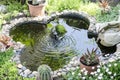 Garden pond with fountain Royalty Free Stock Photo