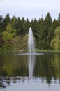 Garden pond fountain Royalty Free Stock Photo