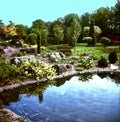 Garden pond with a rockery