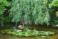 Garden pond with a snail fountain