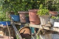 A Garden in Poros Elios Proni, Cephalonia Kefelonia, Greece Royalty Free Stock Photo