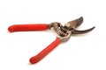 Garden pruning tool on white b