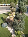 Garden at public place with white stones and different kaktus types in Riyadh