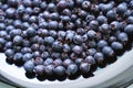 Garden purple berry. Shadberry. Nature breakfast vegan ingredient. Summer food