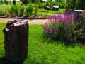 Garden with purple flowers and decorative rock stones