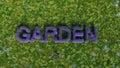 Garden in Purple