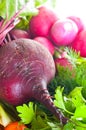 Garden radish, carrots and beet.