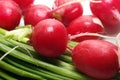 Garden radishes and green spring onions Royalty Free Stock Photo