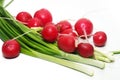 Garden radishes and green spring onions Royalty Free Stock Photo