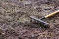Garden rake. Black metal rake is being pulled through dry soil ready for planting. old rake on a garden bed. spring