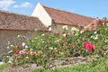 Garden in Rasnov fortress