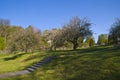 Garden of Red Mansion (flowering in May) Royalty Free Stock Photo