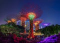 Garden Rhapsody, colorful light show at the Supertree Grove Gardens by the Bay in Singapore, popular tourist attraction