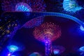 Garden Rhapsody Light Show at Super Tree Grove Royalty Free Stock Photo