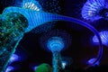 Garden Rhapsody Light Show at Super Tree Grove Royalty Free Stock Photo