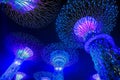 Garden Rhapsody Light Show at Super Tree Grove Royalty Free Stock Photo