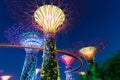 Garden Rhapsody Light Show at Super Tree Grove, Singapore Royalty Free Stock Photo