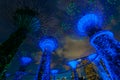 Garden Rhapsody Light Show at Super Tree Grove