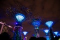 Garden Rhapsody lightshow - Gardens by the Bay, Singapore