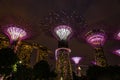 Garden Rhapsody lightshow - Gardens by the Bay