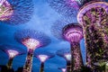 Garden Rhapsody show, Garden by the Bay, Singapore Royalty Free Stock Photo