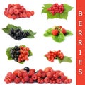 Garden ripe berries collage