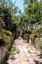 Garden road, old stone road surrounded by green plants Royalty Free Stock Photo