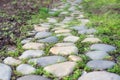 A garden road paved with natural stones surrounded with young grass