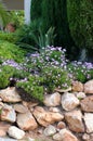 Garden rockery Royalty Free Stock Photo