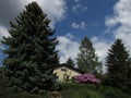 Garden rural colorful still life with trees