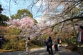 Garden in the Ryoan-ji Temple Royalty Free Stock Photo