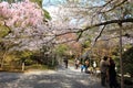 Garden in the Ryoan-ji Temple