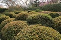 Garden in the Ryoan-ji Temple Royalty Free Stock Photo