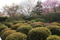 Garden in the Ryoan-ji Temple Royalty Free Stock Photo