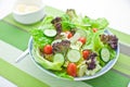Garden Salad Royalty Free Stock Photo