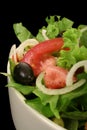 Garden Salad isolated