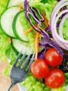 Garden Salad on Square Plate Royalty Free Stock Photo