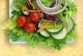 Garden Salad on Square Plate Royalty Free Stock Photo