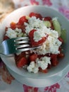 Garden Salat in a Bowl. Home made Salat. Tomato, Cucumber and Cheese Salat. Royalty Free Stock Photo