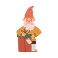 Garden or scandinavian gnome with gift box, flat vector illustration isolated. Royalty Free Stock Photo