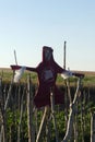 Garden scarecrow in a garden, scarecrow made of human clothing