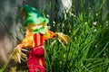 A garden scarecrow with a hat - a fun decoration made of rags and straw. near growing onion with arrows