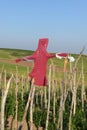 Garden scarecrow in a garden, scarecrow made of human clothing