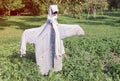 Garden scarecrow made of old clothing standing in the field at summer
