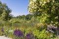 Garden scene with purple, white and orange flowers. Royalty Free Stock Photo