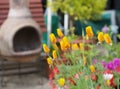 Garden scene showing chimney beside an assortment of vibrant pretty flowers Royalty Free Stock Photo