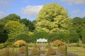 Garden scene with white bench