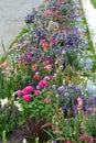 Perennials ornamental border in Schlosshof Austria professionally planted with groups of perennials