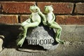 Frogs in love