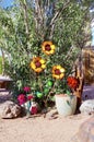 Garden Sculpture Display in Nevada Cactus Nursery Royalty Free Stock Photo